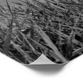 アヒルの視点 ポスター (角)