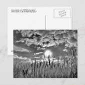 アヒルの視点 ポストカード (正面/裏面)