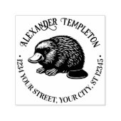 アヒルの請求済みカモノハシ#3P名差出人住所 セルフインキングスタンプ (デザイン)