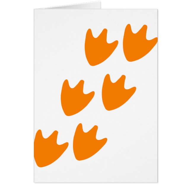 アヒルの足のトラック (正面)