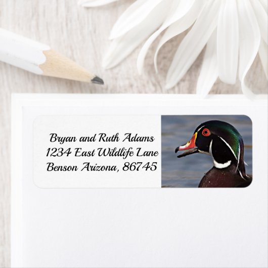 アヒルの輪郭 ラベル (インサイチュ)