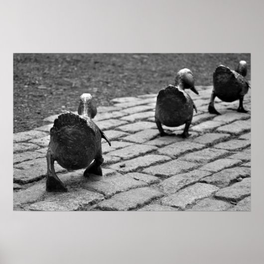 アヒルの道を作る ポスター (正面)