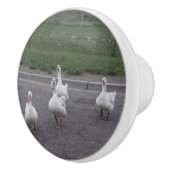 アヒルの陶器ノブ セラミックノブ (右)