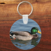 アヒルの雄マラード キーホルダー (正面)