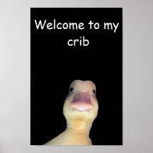 アヒルの面白いミーム: Welcome to My Crib Duck