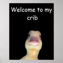 アヒルの面白いミーム: Welcome to My Crib Duck