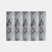 アヒルの鳥の自然の景色の空の運命の運命 フリースブランケット (正面(横))