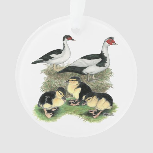 アヒルの黒い雑色のMuscovy家族 オーナメント (正面)