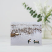 アヒルの2組 ポストカード (スタンド正面)