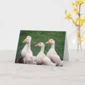 アヒルの4人 カード (黄色い花)