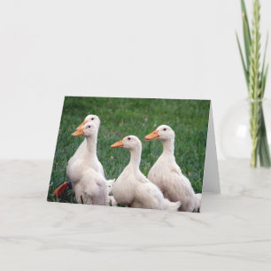 アヒルの4人 カード