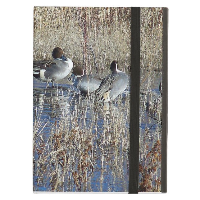 アヒルのPowisのiCase iPad Airケース (正面(閉時))