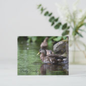 アヒルはがき シーズンポストカード (スタンド正面)