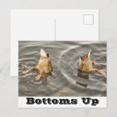 アヒルはがき シーズンポストカード (正面/裏面)