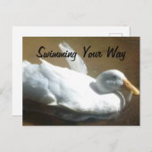 アヒルはがき ポストカード (正面/裏面)