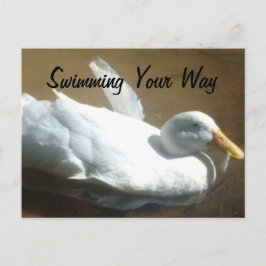 アヒルはがき ポストカード