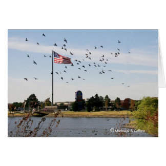 アヒルは米国を愛します