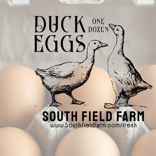 アヒルまたはガチョウの卵ファーム市場スタンプヴィンテージアヒル ラバースタンプ