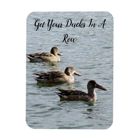 アヒルを一列に並べる マグネット (縦)