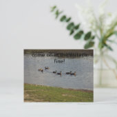 アヒルを水に招待状 ポストカード (スタンド正面)