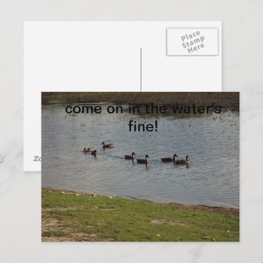 アヒルを水に招待状 ポストカード (正面/裏面)