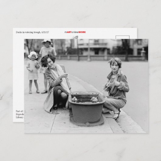 アヒルを泳ぎに連れ出す ポストカード (正面/裏面)