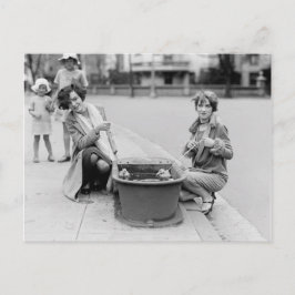 アヒルを泳ぎに連れ出す ポストカード