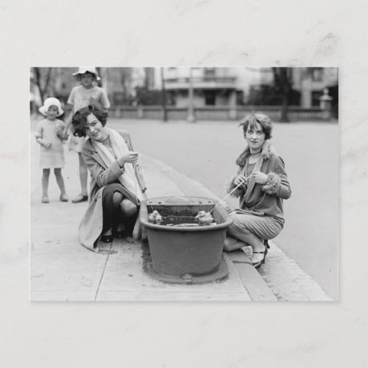 アヒルを泳ぎに連れ出す ポストカード (正面)