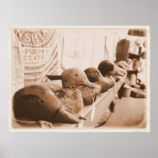 アヒルを連れて行く ポスター (正面)