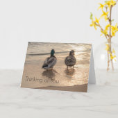 アヒルオンビーチ カード (黄色い花)