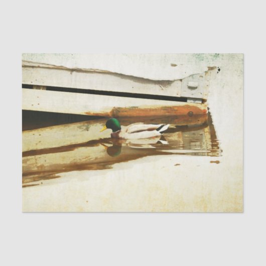 アヒルティッシュペーパー 薄葉紙 (正面)