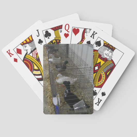 アヒルトランプ トランプ (裏面)