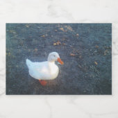 アヒルボトルラベル スパークリングワインラベル (シングルラベル)