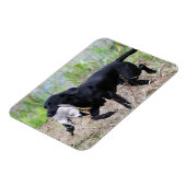 アヒルラブラドール付きブラック磁石レトリバー マグネット (左側)