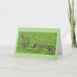 アヒル付きアヒル カード