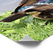 アヒル付きマムウッドアヒル ポスター (角)