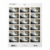 アヒル住所 シール (フルシート)