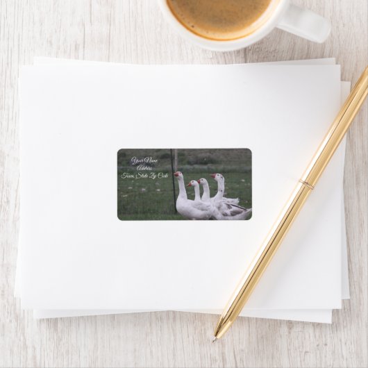 アヒル住所 シール (インサイチュ)