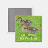 アヒル動物を愛する野生動物のアートマグネット マグネット (正面/裏面)