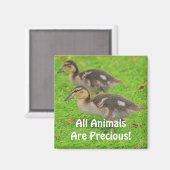アヒル動物を愛する野生動物のアートマグネット マグネット (正面/裏面)