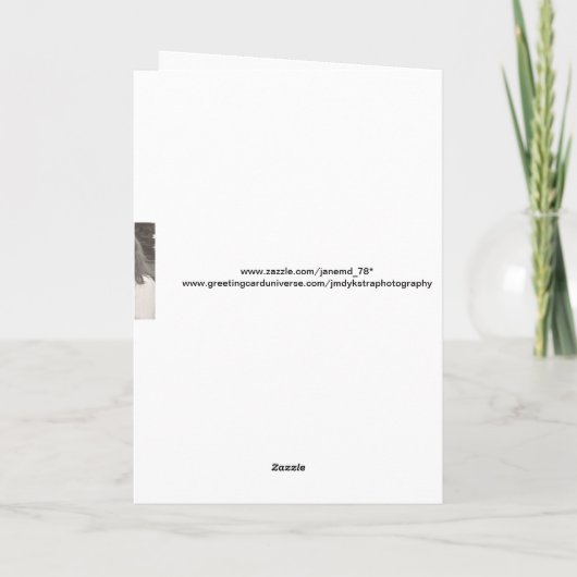 アヒル及びハートの孫娘のバレンタイン シーズンカード (裏面)