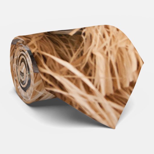 アヒル呼出しマガモのドレークの狩りのハンターメンズタイ ネクタイ (ロール)