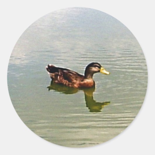 アヒル封筒用シールシール ラウンドシール (正面)