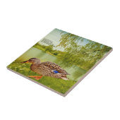 アヒル引用文   タイル (側面)