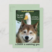 アヒル柴犬ドッグAnatidaehobil写真おもしろいDoge ポストカード (正面/裏面)