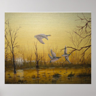 アヒル狩り ポスター