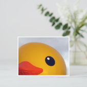 アヒル目 ポストカード (スタンド正面)