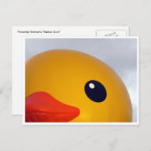 アヒル目 ポストカード (正面/裏面)