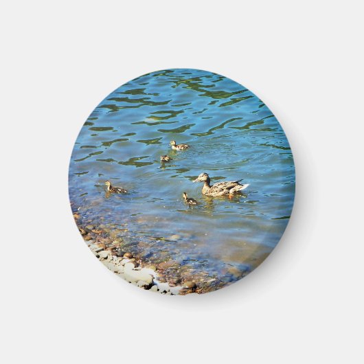 アヒル科 マグネット (正面)