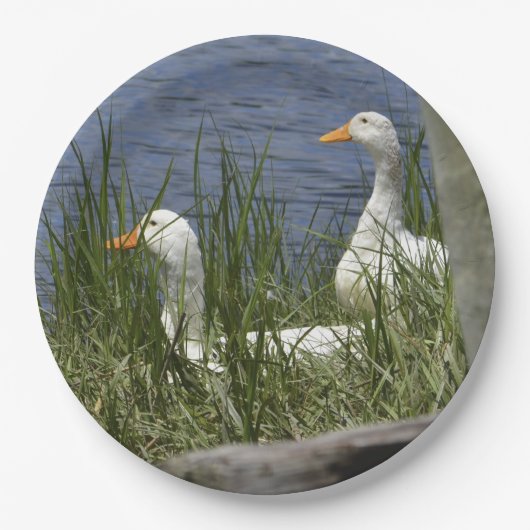 アヒル紙プレート ペーパープレート (正面)